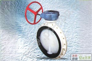 D371-10S/V型蜗轮式蝶阀